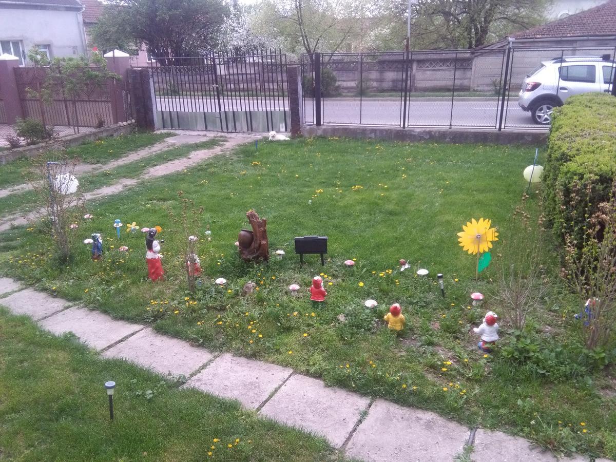 Vila La Izvorul Putinei Haţeg Exterior foto