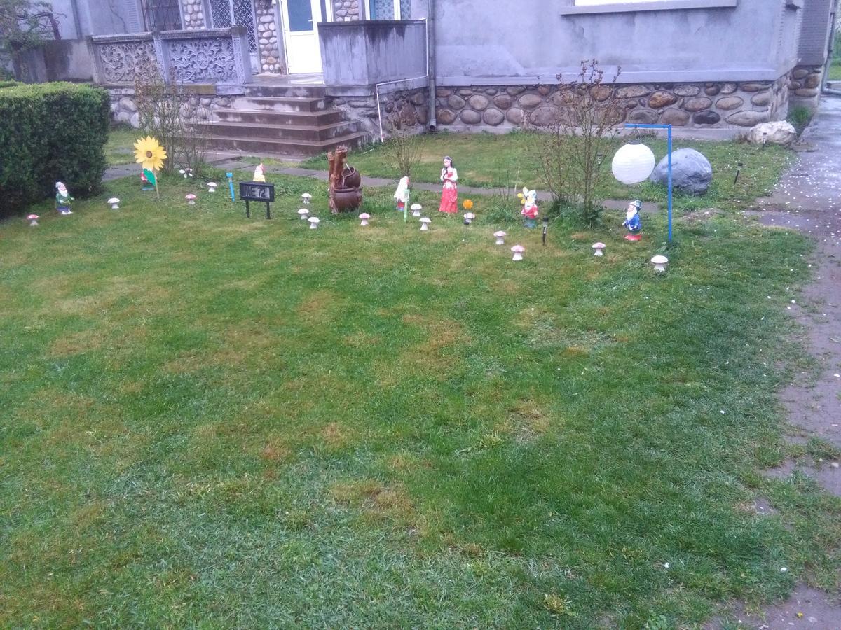 Vila La Izvorul Putinei Haţeg Exterior foto